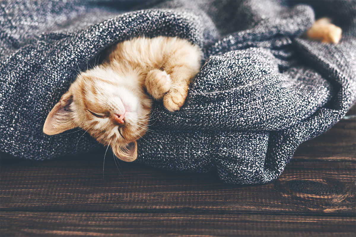 blog-post-sleeping