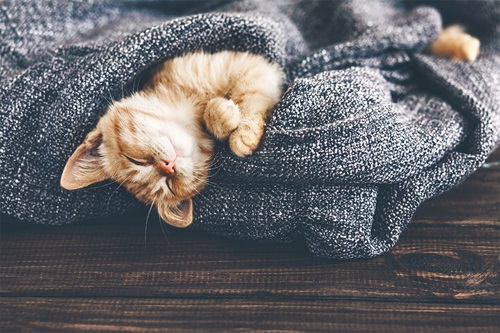 blog-post-sleeping